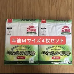GUNZE やわらか肌着 半袖V首 Mサイズ 4枚セット