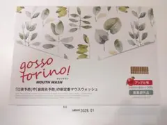 【アップル味】即日発送 ゴッソトリノ 新品未使用 マウスウォッシュ 30包のサムネイル