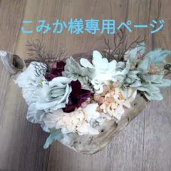 こみか様専用ページです。アロマティカスの苗八本