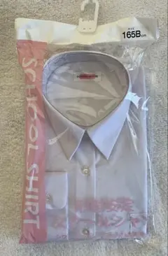 Item thumbnail for item fafa8742-79a4-4480-9357-46028f1c8735