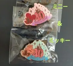 ディズニー ミッキー&ミニー ピンバッジ 40周年 ドリームゴーラウンド