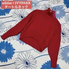 【極希少】adidas IVYPARK ビヨンセ　リブ　ニット　セーター