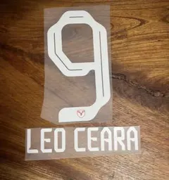 鹿島アントラーズ 24-25 レオセアラ マーキング