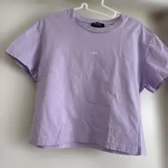 SUKALA】アクティブシアーカラークロップドTee モーヴ Lサイズ - メルカリ