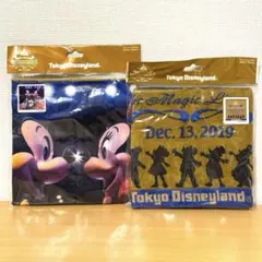 ディズニーランド　ワンマンズドリームII ウォッシュタオル　実写