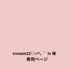 trmam23♡⋈*。゜lv 様専用ページ