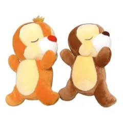 #MY推しぬいぐるみ デール Disney #MY推しDAYS チップとデール ぬいぐるみ 5体セット - メルカリ