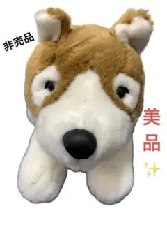 Item thumbnail for item cb4fe883-73f1-45d5-b74f-2f197fc964a3