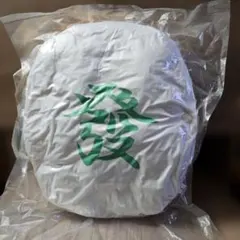 Item thumbnail for item 319e474f-3d93-41c1-a0cb-8a5182dab613