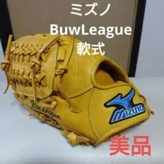 MIZUNO PRO Buw League 左投げ サウスポーグローブ ビッグM - メルカリ