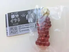 部分イクラ カプセルトイ