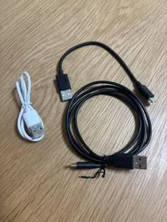 新品/SONY/ELECOM/Type-C-USBケーブル3本/イヤホン無