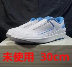 AIR JORDAN 2 RETRO LOW DV9956 30cm 未使用