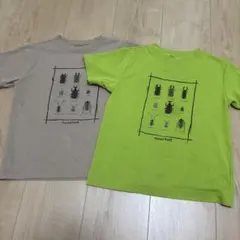 mont-bell モンベル　半袖　Tシャツ　緑　ベージュ　昆虫120cm