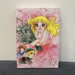 アニメ リルリルフェアリル 〜魔法の鏡〜 DVD 全巻セット - メルカリ