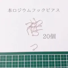 本ロジウム フックピアス ２０個セット （１０ペア）