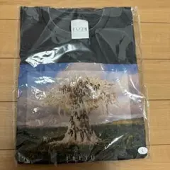 櫻坂46 5th Anniversary フォトビッグTシャツ Lサイズ
