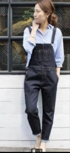 2025年最新】FRAMeWORK レディース サロペット・オーバーオール