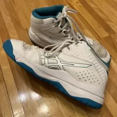 22.5cm バッシュ　バスケットボールシューズ　アシックス　ダンクショット