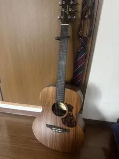 Aria Dreadnought アコギ MARTINストラップなどおまけ付き - メルカリ