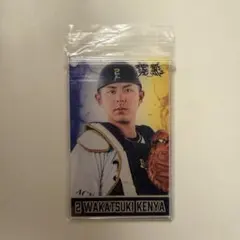 若月健矢 コロチャレ