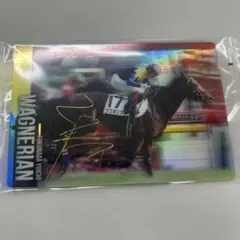 2025年最新】ワグネリアンの人気アイテム - メルカリ