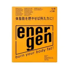 エネルゲン 1L用 粉末 パウダー 5袋　大塚製薬 新品のサムネイル