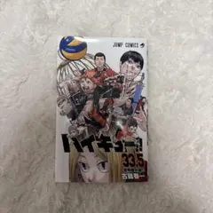 ハイキュー!! 33.5 音駒番外編