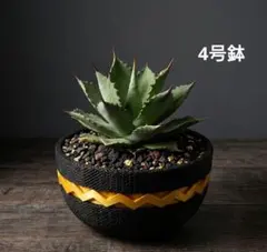3Dプリンター鉢 5号 漆黒×金帯 ジャイロイドメッシュ アガベ根塊植物用