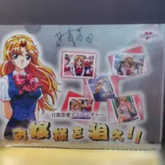 バイブルブラック トレーディングカード 高城寛子 二見渚 箔押しサイン