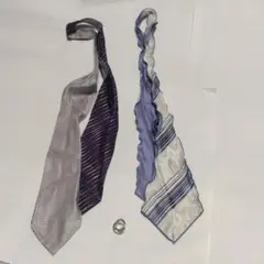 ティノラスのリングタイです。