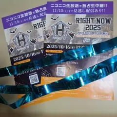 TEAM H RIGHT NOW 2025チラシ&キャノンテープセット