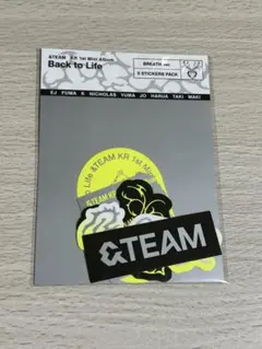 &TEAM andteam BacktoLife ステッカー sticker