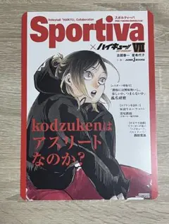 ハイキュー!! Sportiva 全巻 ビジュアルボード付き シュリンク付き美品 ハイキュー!! Sportiva 全巻 ビジュアルボード付き シュリンク