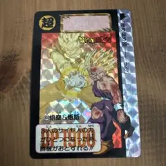 激レア】ドラゴンボール カードダス 悟空＆悟飯 孫悟飯 1993年 鳥山明