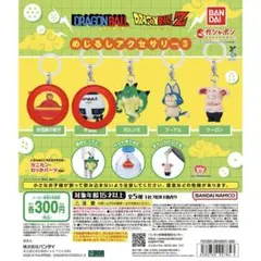 ドラゴンボール めじるしアクセサリー3 孫悟飯の帽子 宇宙船