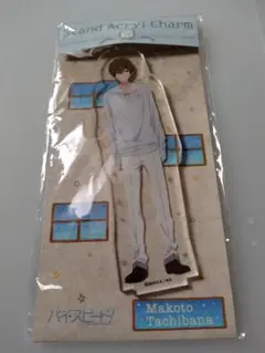 ハイ☆スピード! 橘真琴 京アニ ハンドメイド缶バッジ セット ハイ☆スピード! 橘真琴 京アニ ハンドメイド缶バッジ セット - メルカリ