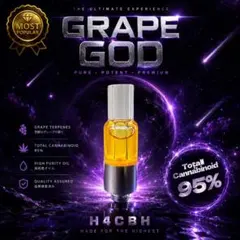 【人気No.1】霞の境GrapeGod H4CBH 1.0mlグレープゴッド64のサムネイル