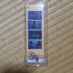 ミルキー☆サブウェイ ミルサブ マックス フォトグレイキーホルダー