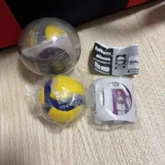 ハイキュー!! x Mikasa コラボBOX付きボール, 白鳥沢学園高校x 2