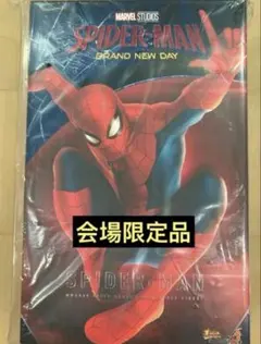 海外会場限定 ホットトイズ スパイダーマン ブランド・ニュー・デイ MMS892のサムネイル