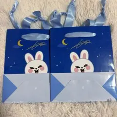StrayKids SKZOO GIGO 페이퍼백 리빗 2장 세트
