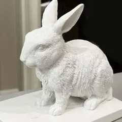 2026年最新】francfranc うさぎの人気アイテム - メルカリ