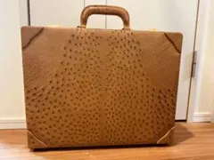 アレキサンダー ホルン本体用 純正ハードケース - メルカリ