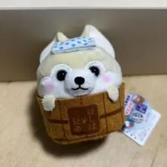 ひげまんじゅう×豆しば三兄弟温泉 マスコット ぬいぐるみ さすけ