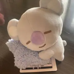 BT21 KOYA BTS RM ナムさん　ぬいぐるみLINE FRIENDS
