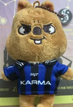 straykids karma skzoover ハンクウォッカ