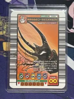 111mm】コーカサスオオカブト Chalcosoma カブトムシ標本 - メルカリ