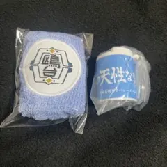 ハイキュー!!　鴎台高校　リストバンド　コインシリンダー