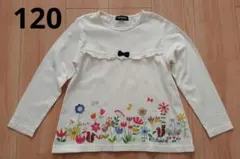 クレードスコープ トップス